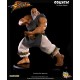 Street Fighter Gouken 1/4 scale statue